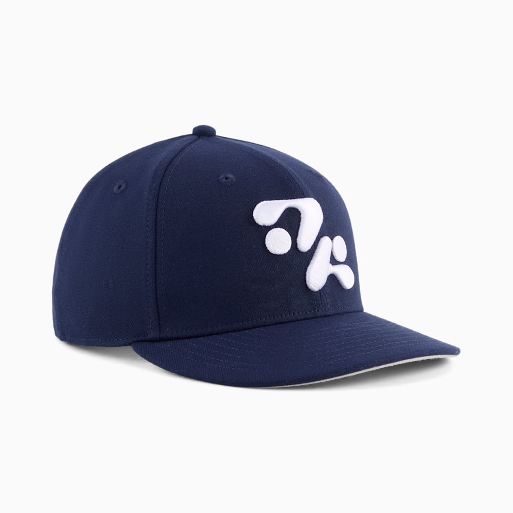 The Hali Flat Brim Hat - Image 2
