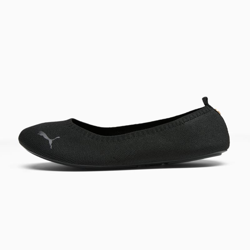 Iliana Ballerina Women's Ballet Flats