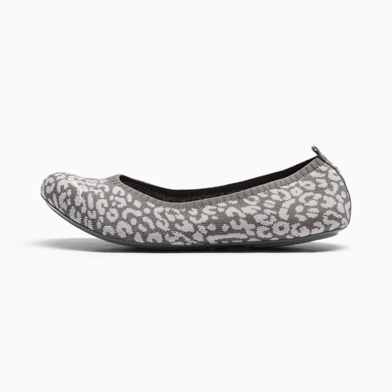 Iliana Ballerina Leopard Print Women's Ballet Flats - Image 2